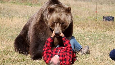 A look at the bear attacks in Yellowstone National Park between 1931 and 1984 found that 80 percent of the hikers that fought back against the bears were injured. Hererro’s own book suggests ...